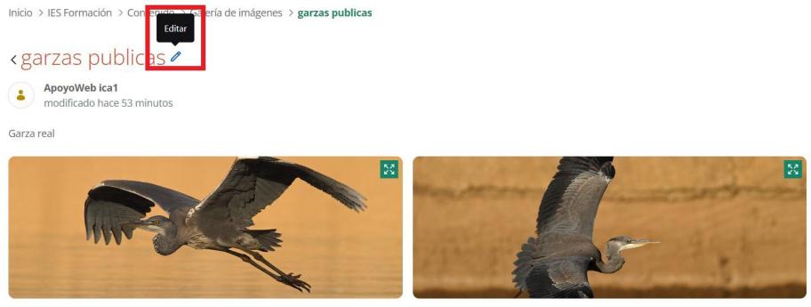 Pantalla de Galería de imágenes