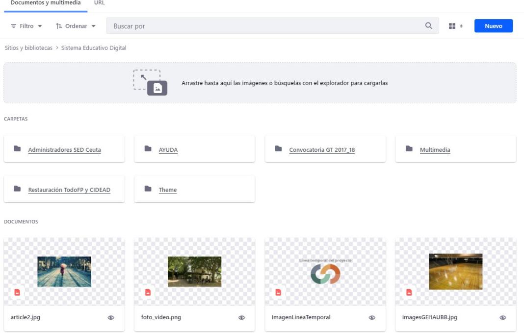 Pantalla de Editor WYSIWYG